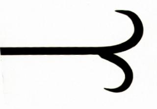 Split Curl