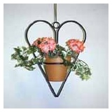 Plant Holder
